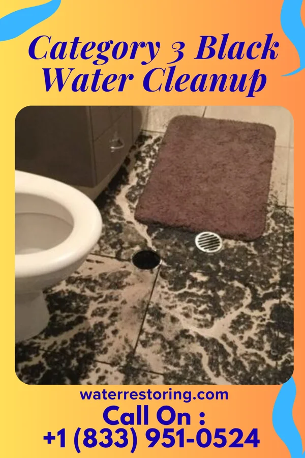 Category 3 Black Water Cleanup in Phillipsburg, OH