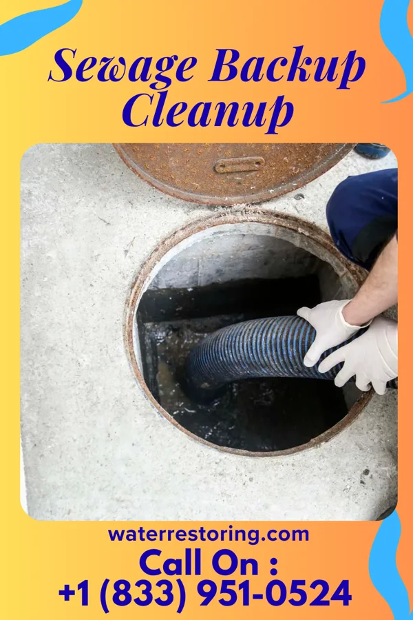 Sewage Backup Cleanup in Phillipsburg, OH