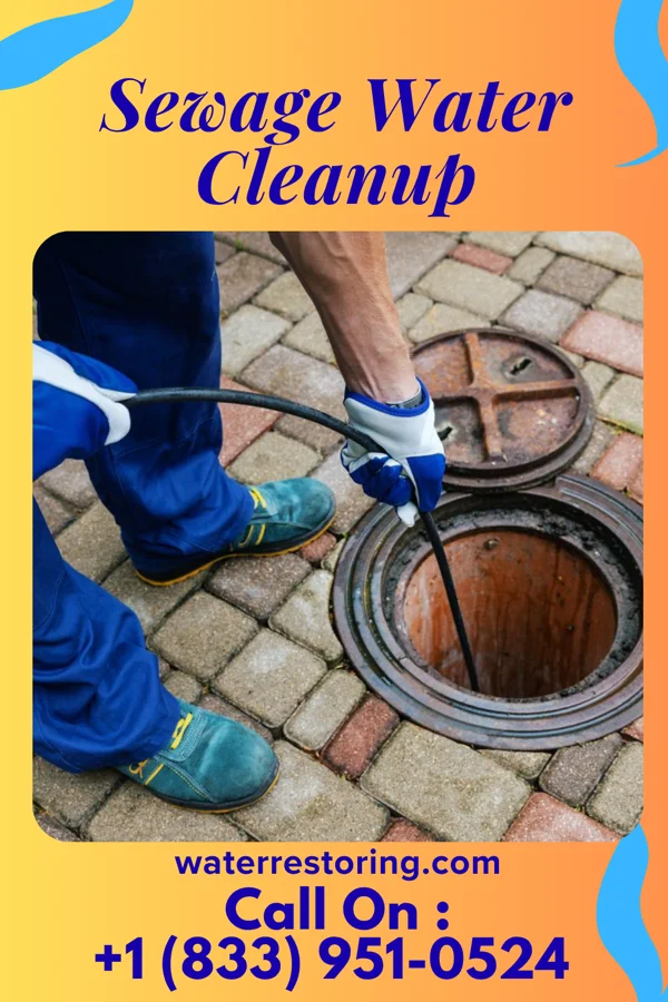Sewage Water Cleanup in Phillipsburg, OH