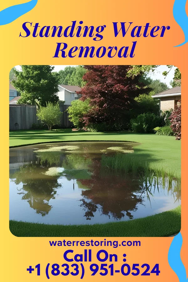 Standing Water Removal in Phillipsburg, OH